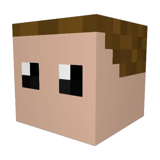 burnttoast3000 Minecraft avatar head, 3D render
