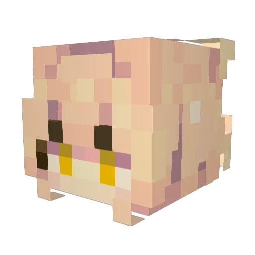 burpy07 Minecraft avatar head, 3D render