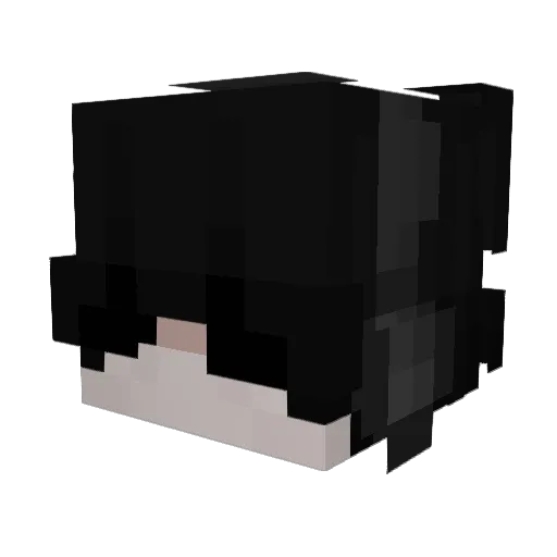 burren Minecraft avatar head, 3D render