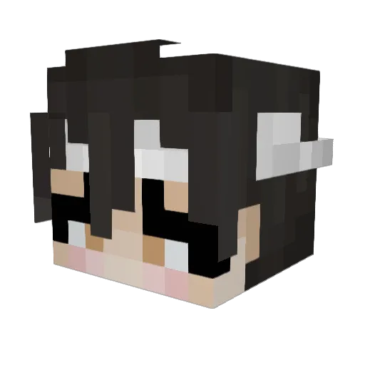 burritoCorgis Minecraft avatar head, 3D render