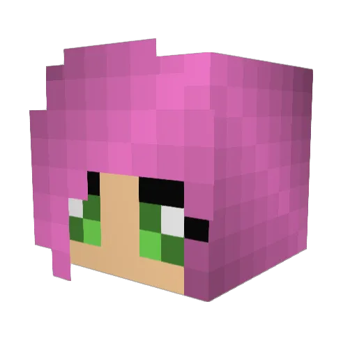 burrito_buddha Minecraft avatar head, 3D render