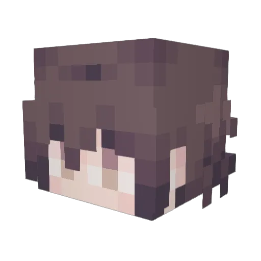 burystrangers Minecraft avatar head, 3D render
