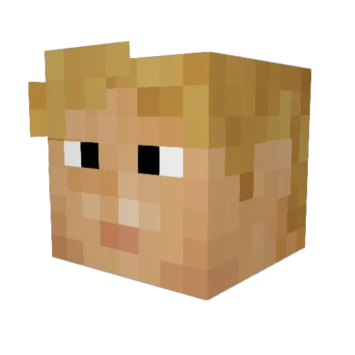 buschi97 Minecraft avatar head, 3D render