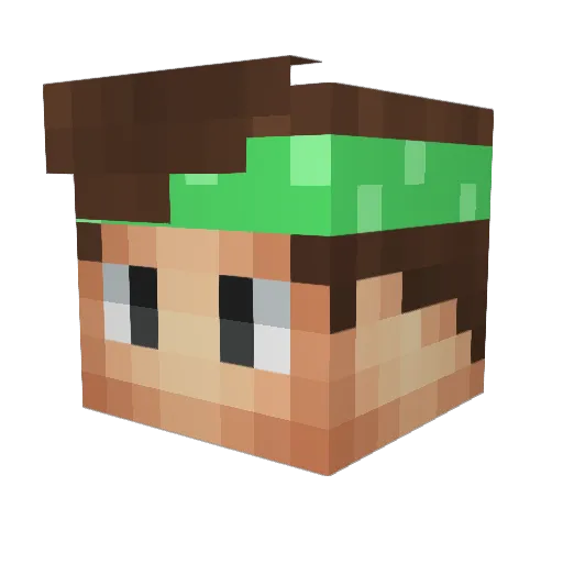 bushbush Minecraft avatar head, 3D render