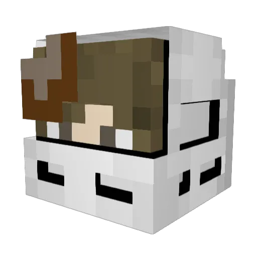 bushpigdotjpeg Minecraft avatar head, 3D render