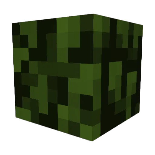 bushwacker058 Minecraft avatar head, 3D render