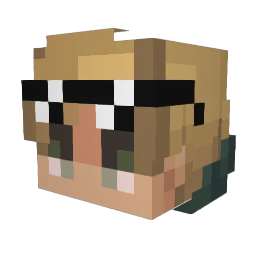 bustdownsean Minecraft avatar head, 3D render