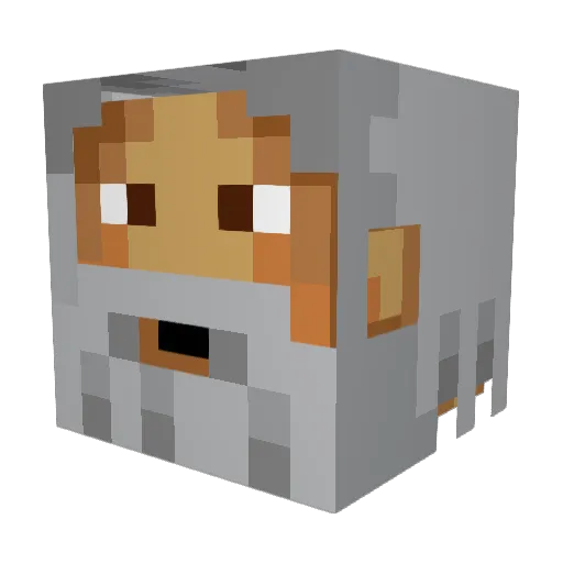 busy4thyr Minecraft avatar head, 3D render