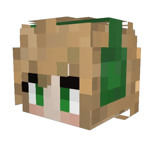 busy_pup Minecraft avatar head, 3D render