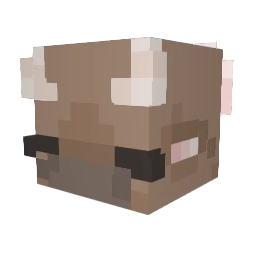 butcry Minecraft avatar head, 3D render