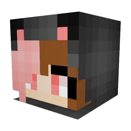 butt_tazer Minecraft avatar head, 3D render