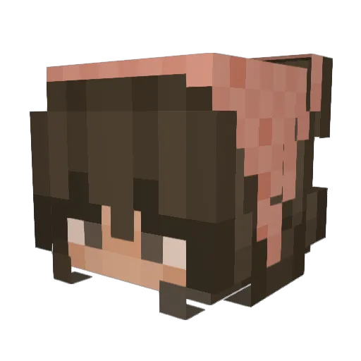 butterbeansgt Minecraft avatar head, 3D render