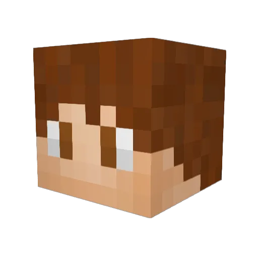 buttercooky Minecraft avatar head, 3D render