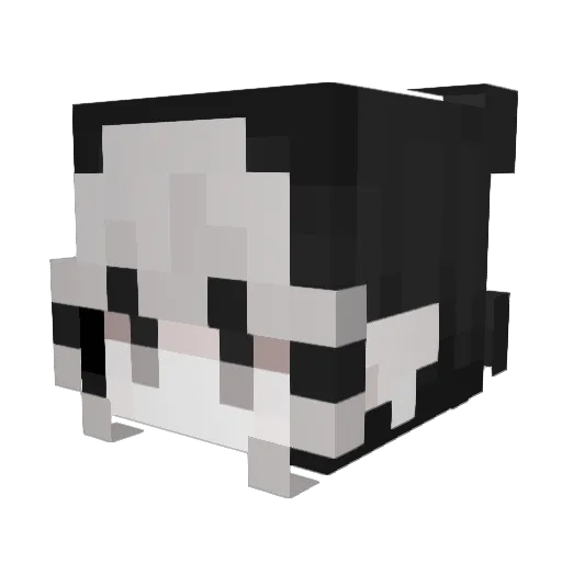 butterflydoll Minecraft avatar head, 3D render