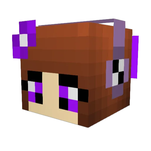 butterflyhunter Minecraft avatar head, 3D render