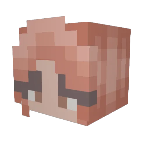 butterflyjorja Minecraft avatar head, 3D render