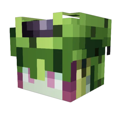 butterman442 Minecraft avatar head, 3D render