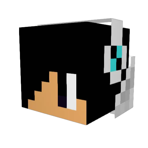 butterminer5000 Minecraft avatar head, 3D render