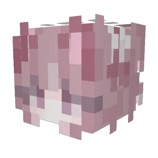 butterwulf Minecraft avatar head, 3D render