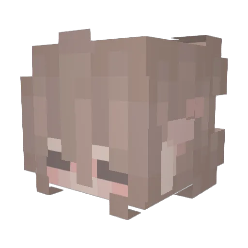 buun_y Minecraft avatar head, 3D render