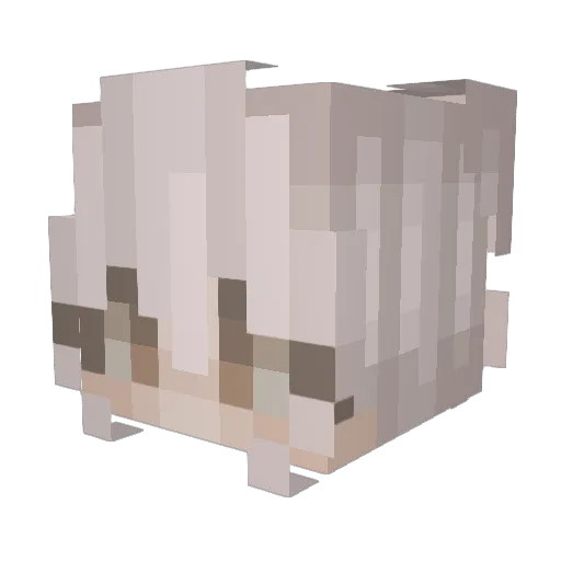 buwnn Minecraft avatar head, 3D render