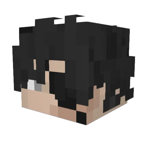 buzzerman3411 Minecraft avatar head, 3D render