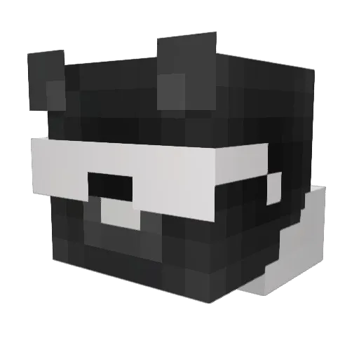 bvcg Minecraft avatar head, 3D render