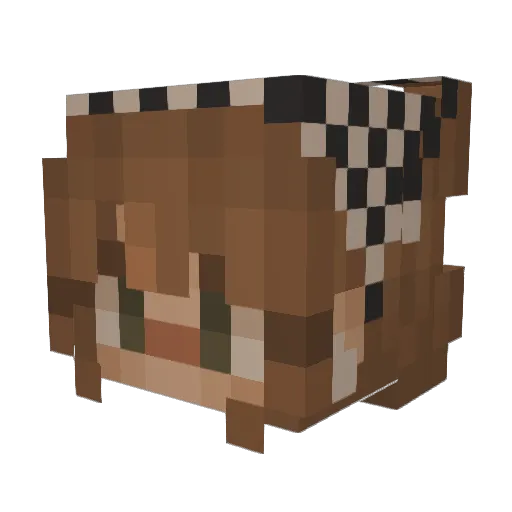 bvsia Minecraft avatar head, 3D render