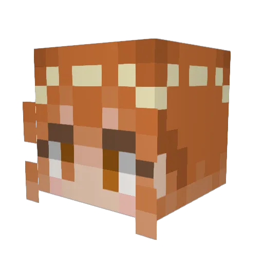 bvsp0_ Minecraft avatar head, 3D render