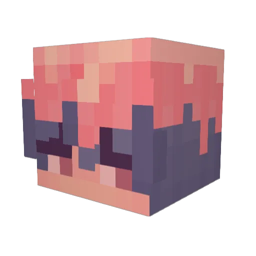 bwaaap Minecraft avatar head, 3D render