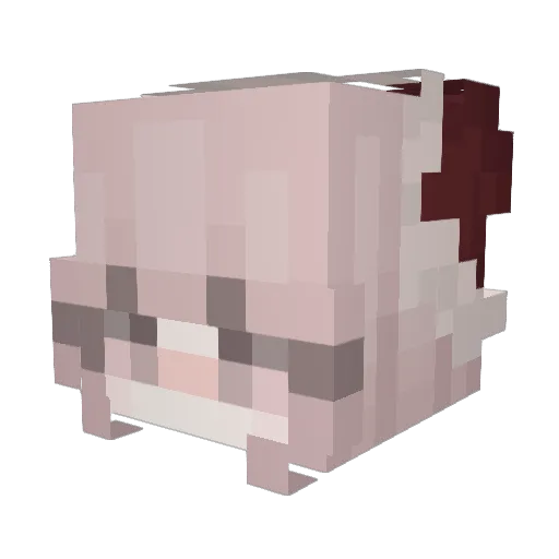 Minecraft-Avatar von bwannie: Kopf als 3D-Render