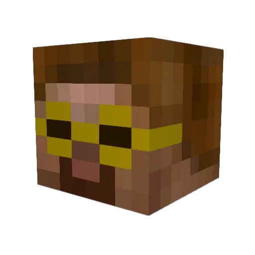 bwave Minecraft avatar head, 3D render
