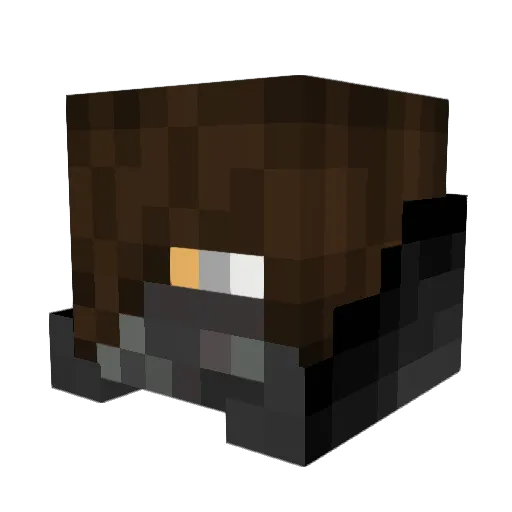 bwhee06 Minecraft avatar head, 3D render