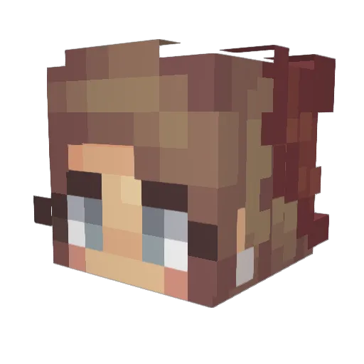 bwilliams1102 Minecraft avatar head, 3D render