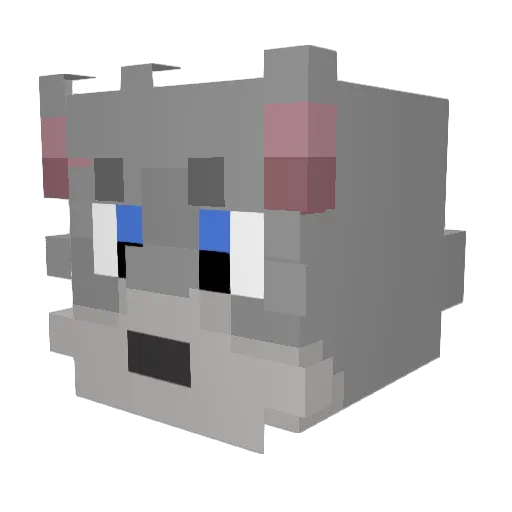 bwjr2 Minecraft avatar head, 3D render