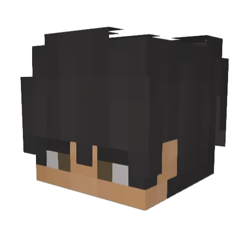 bwnji09 Minecraft avatar head, 3D render