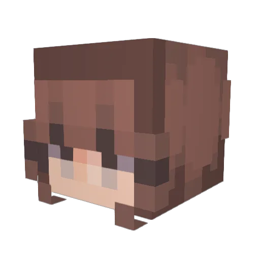 bwoif Minecraft avatar head, 3D render