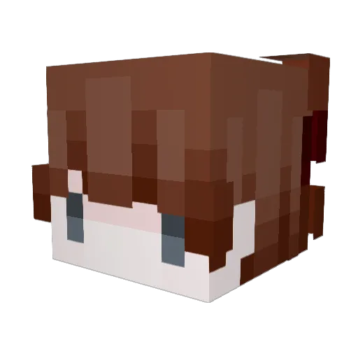 bwones Minecraft avatar head, 3D render