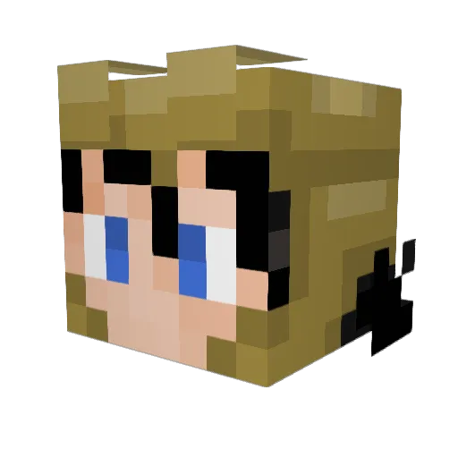 bwoods130 Minecraft avatar head, 3D render
