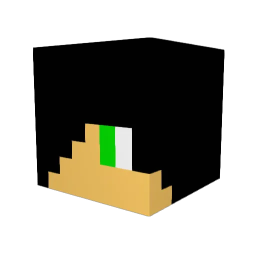 bwoods322 Minecraft avatar head, 3D render