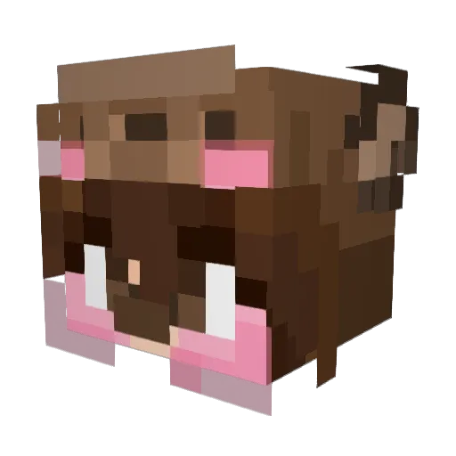 bwstatsE Minecraft avatar head, 3D render
