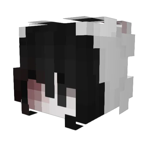 bwsy Minecraft avatar head, 3D render