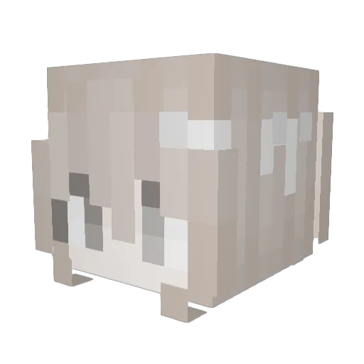 bwutterfly Minecraft avatar head, 3D render