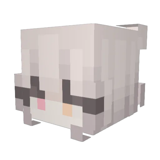 bwvb Minecraft avatar head, 3D render