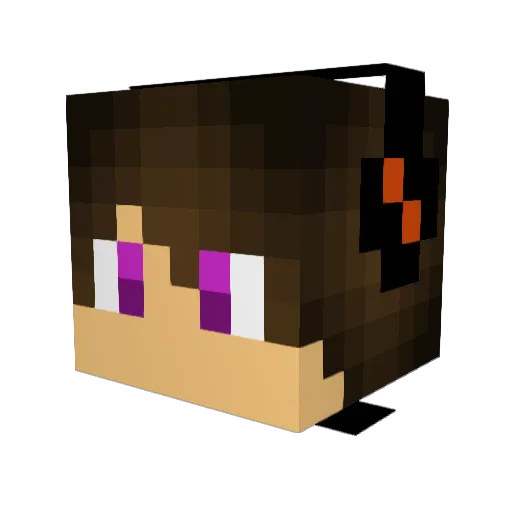 bxboxfat Minecraft avatar head, 3D render