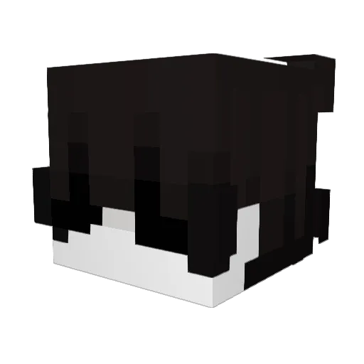 bxepnv Minecraft avatar head, 3D render