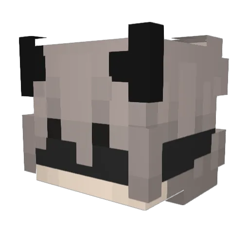 bxlkxn Minecraft avatar head, 3D render