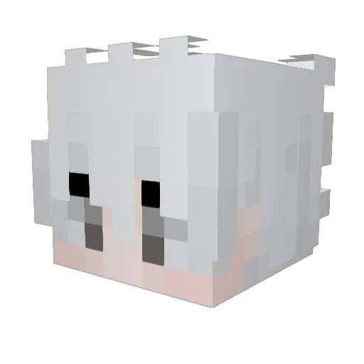 bxllr694 Minecraft avatar head, 3D render