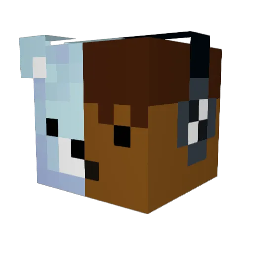 bxllyy Minecraft avatar head, 3D render