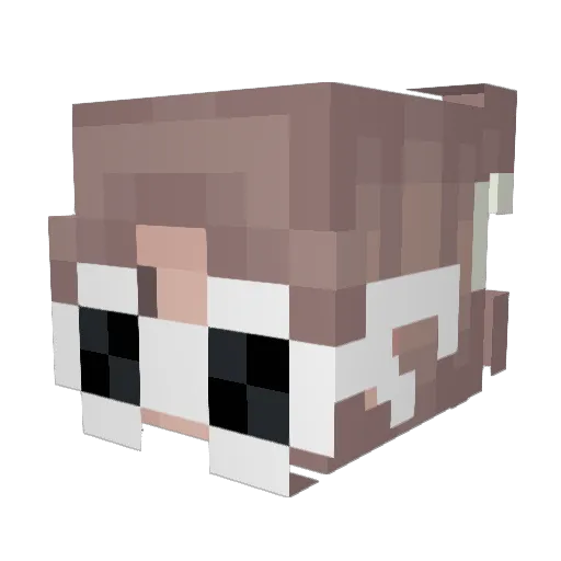 bxmboo10 Minecraft avatar head, 3D render